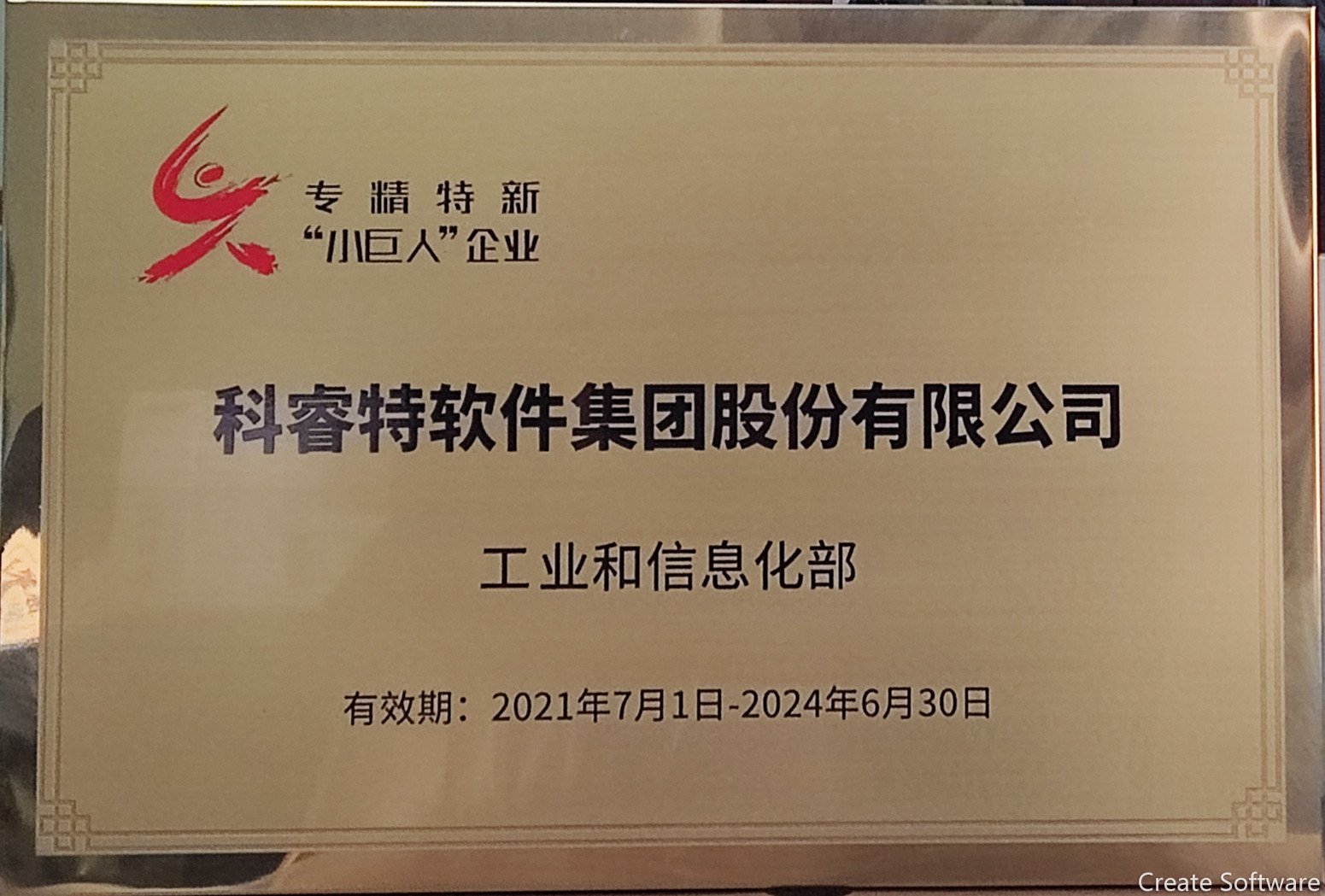 國家專精特新小巨人企業(yè)